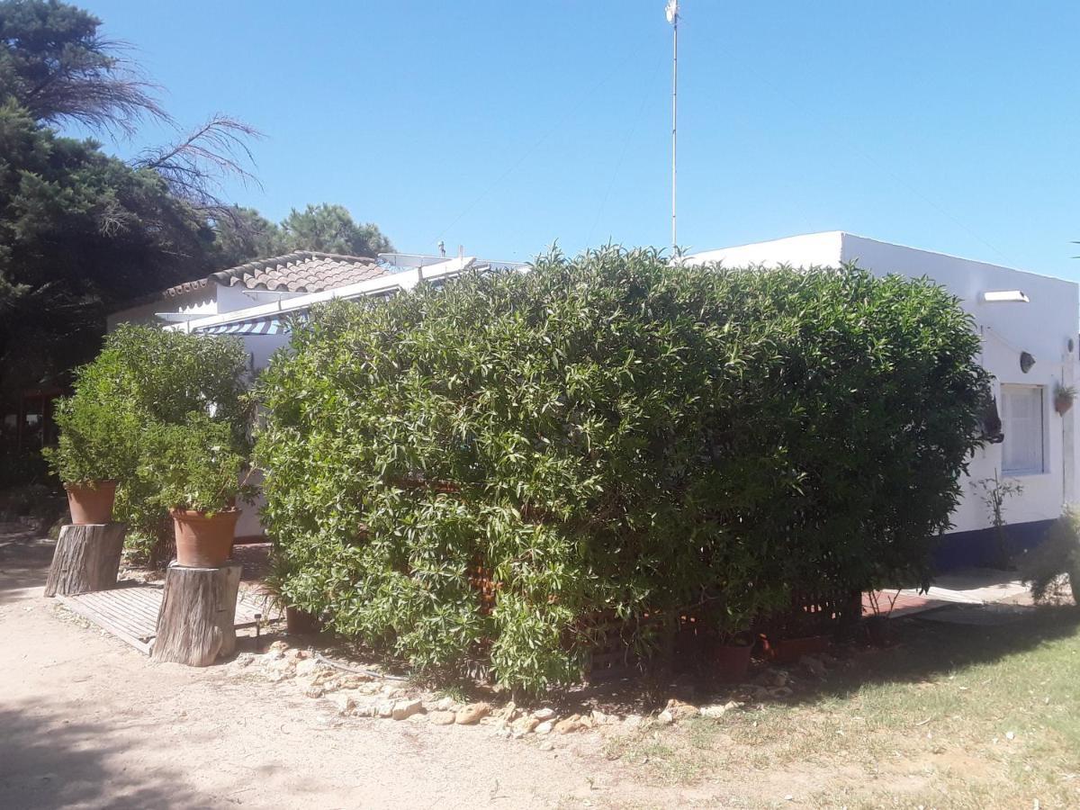 En Finca Las Dunas Dos Chalets Con Jacuzzis En Primera Linea De Playa , Uno De 4 Dormitorios Y Otro De 2 Dormitorios, Llama Al Seiscientos Veintisiete Cuatrocientos Diecisiete Trescientos Noventa Y Ocho Rota Eksteriør bilde