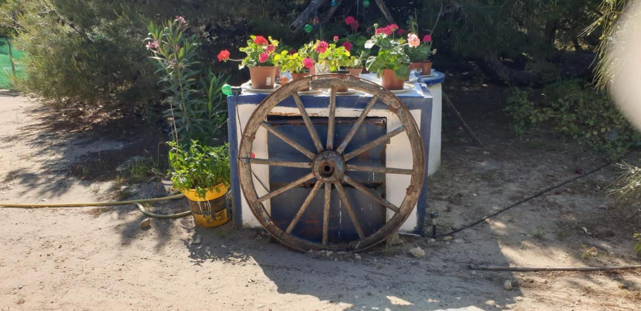 En Finca Las Dunas Dos Chalets Con Jacuzzis En Primera Linea De Playa , Uno De 4 Dormitorios Y Otro De 2 Dormitorios, Llama Al Seiscientos Veintisiete Cuatrocientos Diecisiete Trescientos Noventa Y Ocho Rota Eksteriør bilde