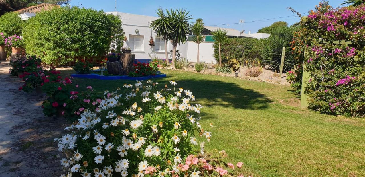En Finca Las Dunas Dos Chalets Con Jacuzzis En Primera Linea De Playa , Uno De 4 Dormitorios Y Otro De 2 Dormitorios, Llama Al Seiscientos Veintisiete Cuatrocientos Diecisiete Trescientos Noventa Y Ocho Rota Eksteriør bilde