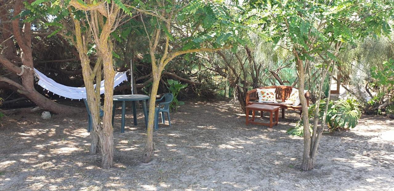 En Finca Las Dunas Dos Chalets Con Jacuzzis En Primera Linea De Playa , Uno De 4 Dormitorios Y Otro De 2 Dormitorios, Llama Al Seiscientos Veintisiete Cuatrocientos Diecisiete Trescientos Noventa Y Ocho Rota Eksteriør bilde