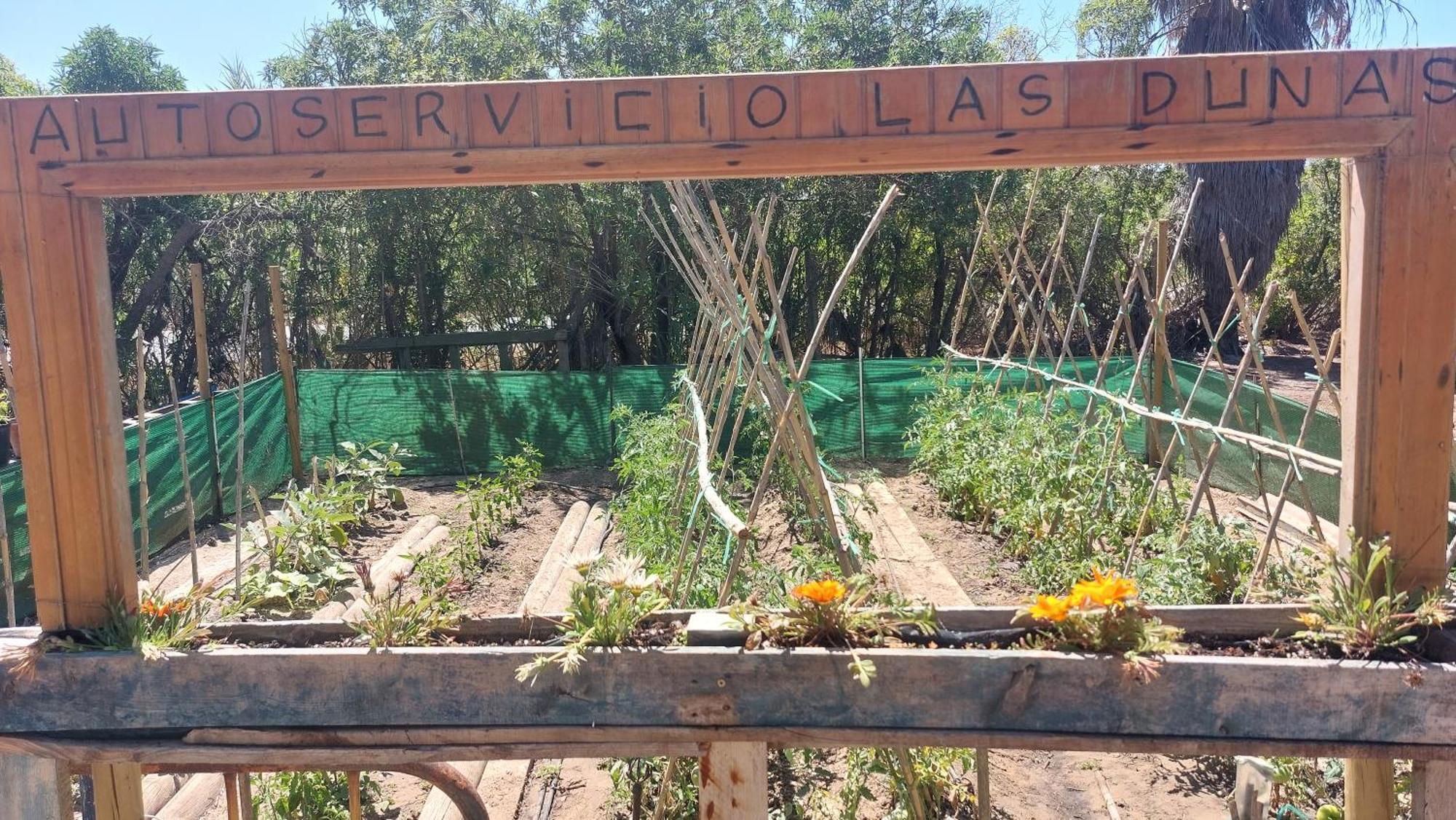 En Finca Las Dunas Dos Chalets Con Jacuzzis En Primera Linea De Playa , Uno De 4 Dormitorios Y Otro De 2 Dormitorios, Llama Al Seiscientos Veintisiete Cuatrocientos Diecisiete Trescientos Noventa Y Ocho Rota Rom bilde