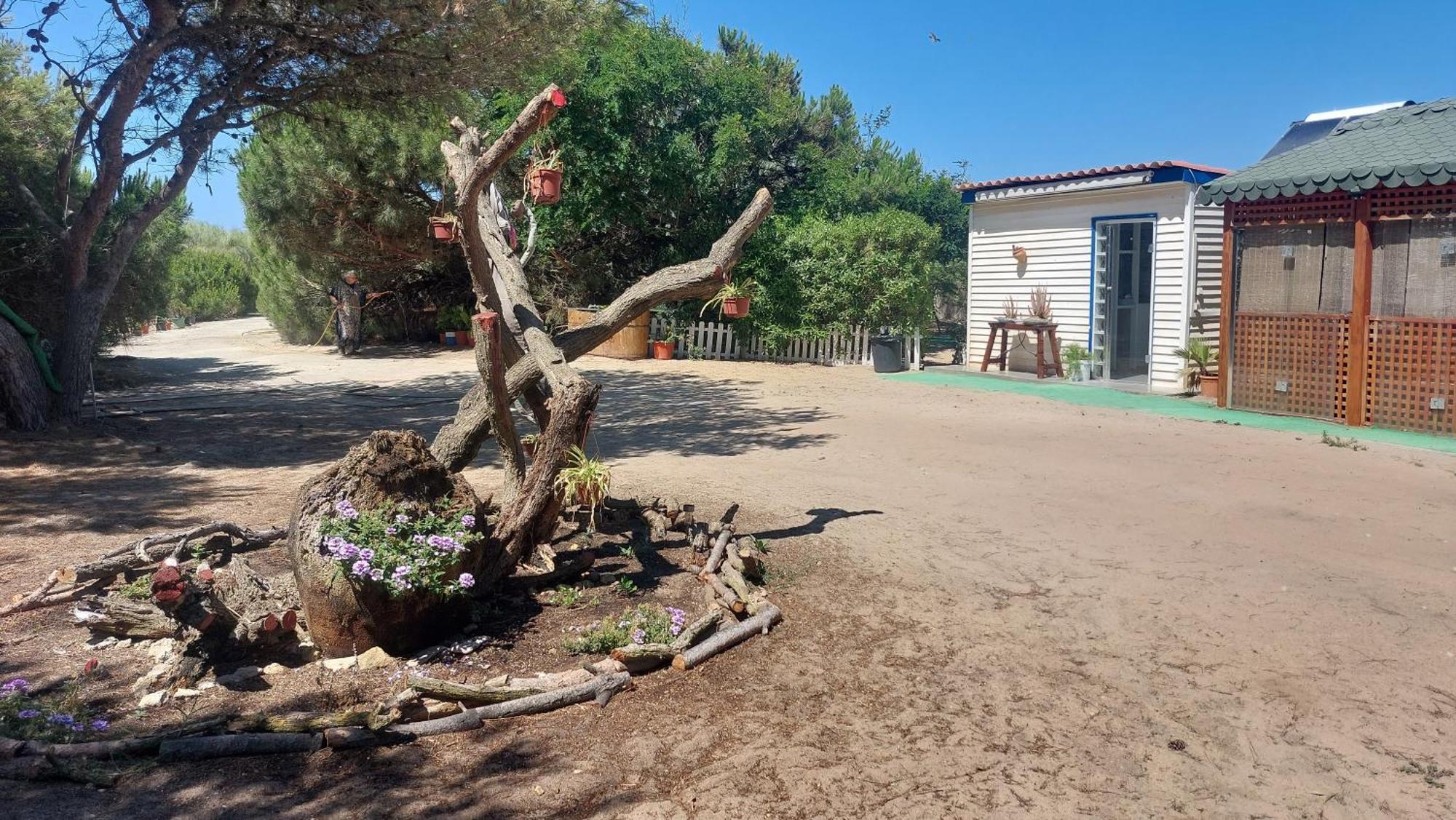 En Finca Las Dunas Dos Chalets Con Jacuzzis En Primera Linea De Playa , Uno De 4 Dormitorios Y Otro De 2 Dormitorios, Llama Al Seiscientos Veintisiete Cuatrocientos Diecisiete Trescientos Noventa Y Ocho Rota Eksteriør bilde