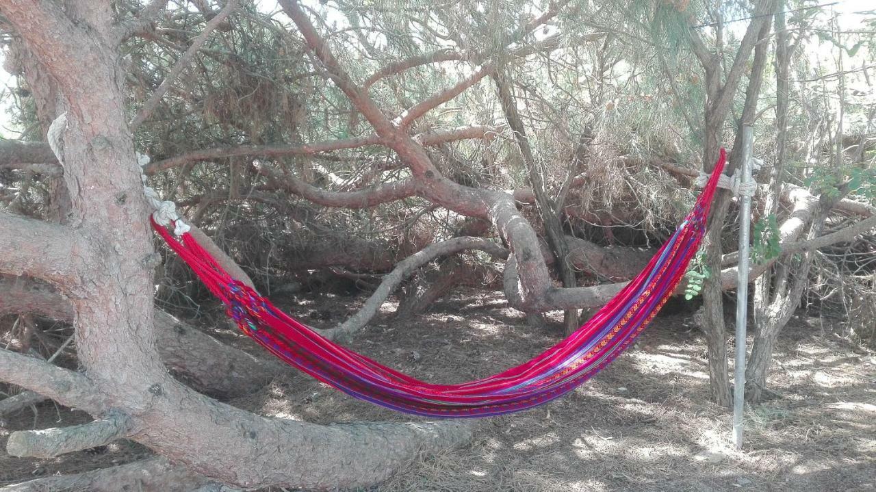 En Finca Las Dunas Dos Chalets Con Jacuzzis En Primera Linea De Playa , Uno De 4 Dormitorios Y Otro De 2 Dormitorios, Llama Al Seiscientos Veintisiete Cuatrocientos Diecisiete Trescientos Noventa Y Ocho Rota Eksteriør bilde